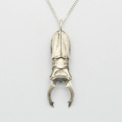 Arma Beetle Pendant - Handmade By AOL Special